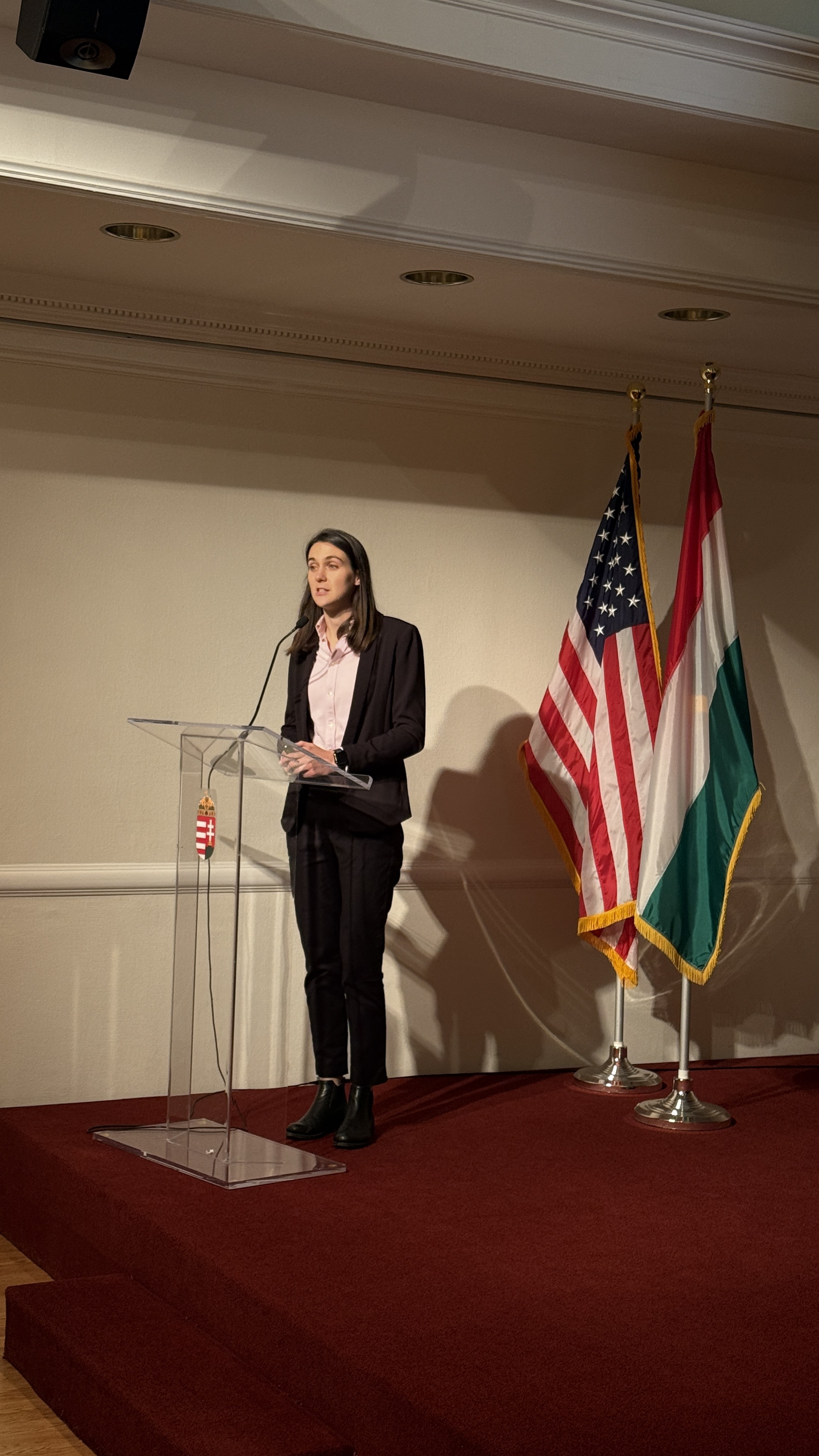 Gene Therapy Vision Research